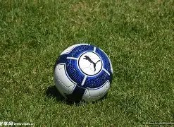 百大球员爆,冷击败斯瓦,泰克,亚博体育,亚博体育官网,亚博体育app,亚博体育下载