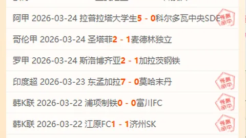 基米希谈新加坡往事：经历独特，我与图赫尔定位各异